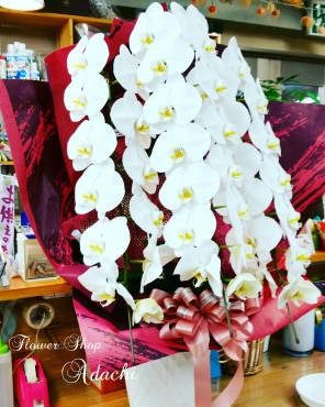 福岡県北九州市小倉北区の花屋 フラワーショップ あだちにフラワーギフトはお任せください 当店は 安心と信頼の花キューピット加盟店です 花キューピットタウン